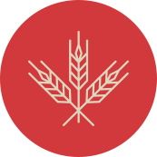 icono